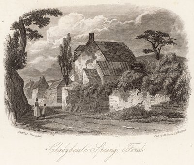 Chalybeate Bron Ford door English School