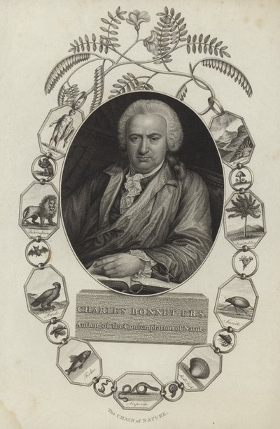 Charles Bonnet door English School