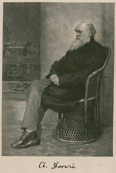 Charles Darwin door English School