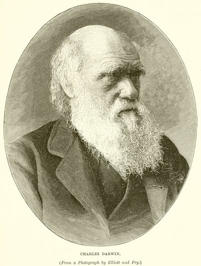 Charles Darwin door English School