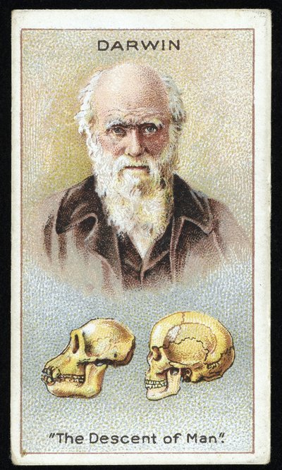 Charles Darwin, "The Descent of Man", uitgegeven 1924 door English School