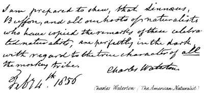 Charles Waterton (de Amerikaanse natuuronderzoeker) door English School