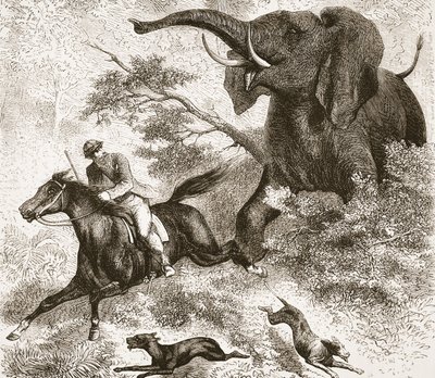 Achtervolgd door een olifant, illustratie uit De Geïllustreerde Editie van het Leven en de Ontdekkingen van David Livingstone door J. Ewing Richie, uitgegeven door A. Fullarton & Co., 1876 door English School