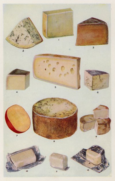 Cheddar; Gorgonzola; Double Gloster; Parmezaan; Gruyere; Roquefort; Nederlands; Stilton; Camembert; St Ives; Room door English School