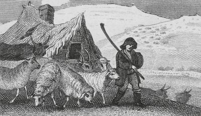 Cheviot herders door English School