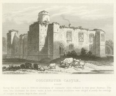Colchester Kasteel, Essex door English School