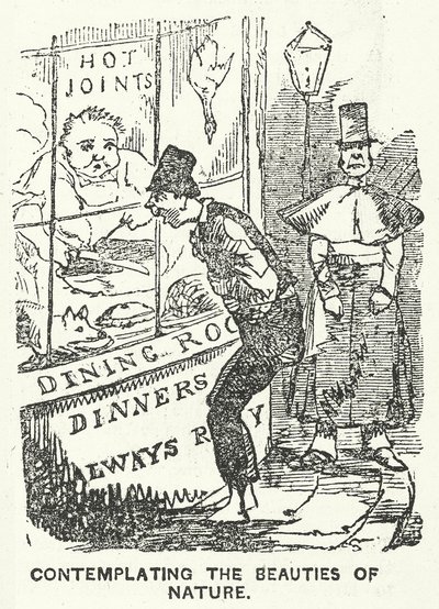De schoonheid van de natuur aanschouwend (gravure) door English School