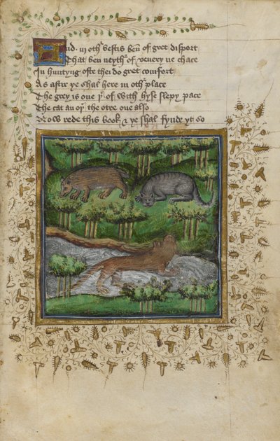 Illustratie van een das, wilde kat en otter; met vers, uit een 