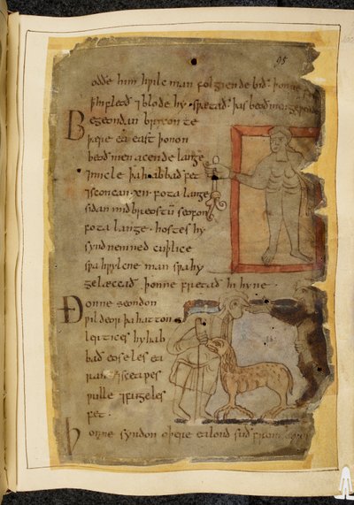 Cotton Vitellius A. XV, f.102, Een naakte man die een plant vasthoudt; twee mannen die praten, en tussen hen een lertix, een schaapachtig beest, illustratie uit Beowulf, uit de 