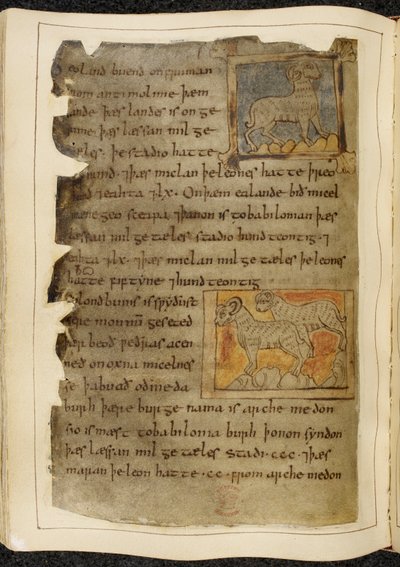Een eenhoornig schaap, naar rechts gericht; twee gehoornde schapen, naar links gericht, uit Beowulf, uit de 