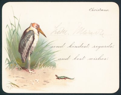 Kraanvogel en hagedis, Kerstkaart door English School