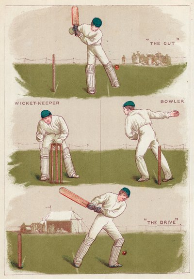 Cricket door English School