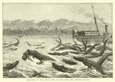 Krokodillen in de Shire-rivier, gezien vanaf de Pioneer-stoomboot door English School