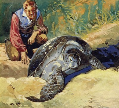 Darwin vroeg zich af waarom de reuzenschildpadden van de Galapagoseilanden op elk eiland verschilden door English School