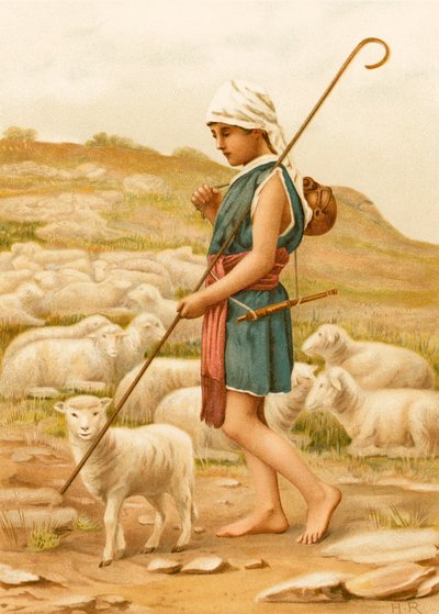 David zorgt voor zijn schapen door English School