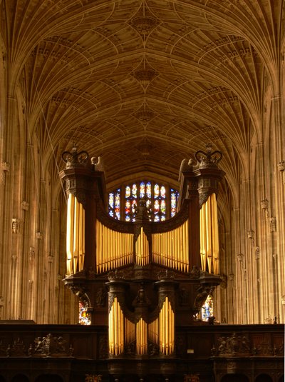 Een uitzicht op het orgel en de gewelven door English School