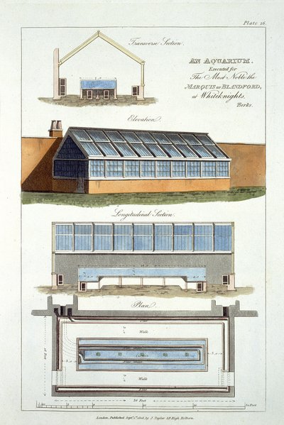 Ontwerp voor een Aquarium, uitgevoerd voor de Markies van Blandford bij Whiteknights, 1806 door English School