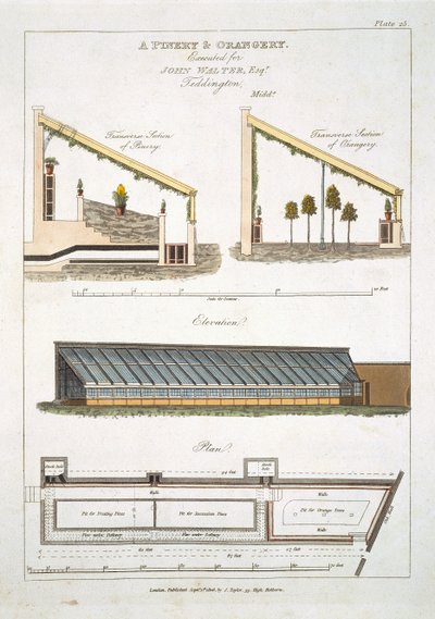 Ontwerp voor een Ananashuis en Oranjerie in Teddington, 1806 door English School