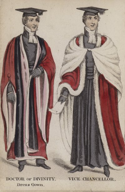 Doctor in de Godgeleerdheid, Dress Gown, Vicekanselier door English School