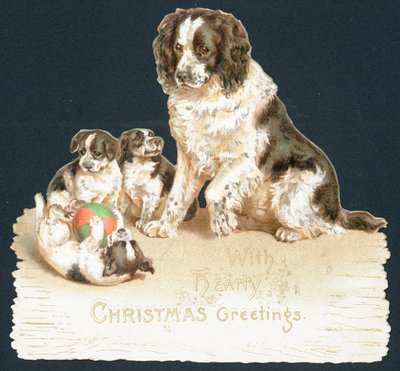 Hond en puppy