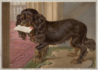 Hond met een brief in zijn bek door English School