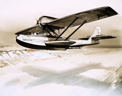 Dornier Wal, tweemotorige Duitse vliegende boot door English School