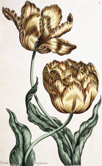 Dubbele Oriflamme, 1759 door English School