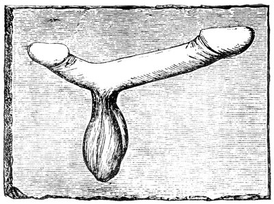 Dubbele phallus van de bovendorpel van een vomitorium (uitgangspassage) bij het amfitheater van Nîmes (Colonia Nemausus) door English School