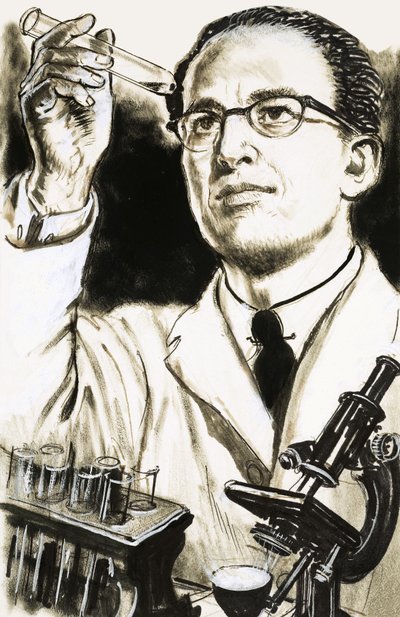 Dr. Jonas Salk, maker van het poliovaccin, kijkt naar een reageerbuis door English School