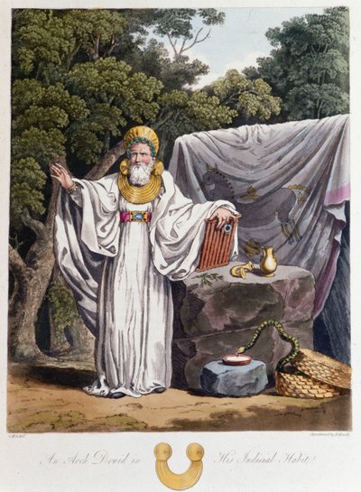 Druïde (in 