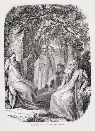 Druïden in het Heilige Woud, uit De Geschiedenis van Frankrijk, door Emile de Bonnechose, uitgegeven door Ward, Lock en Co, Londen door English School