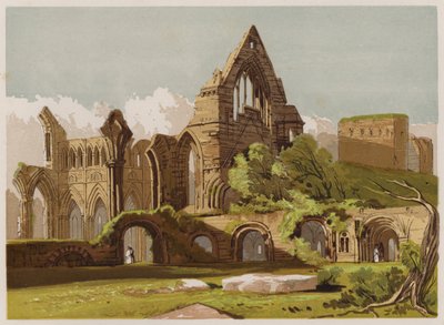 Dryburgh Abbey (kleur litho) door English School