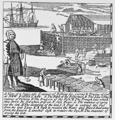 Vroege visserijstadia, illustratie uit Volume IV van 