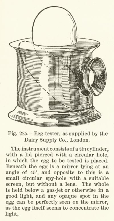 Eiertester, geleverd door de Dairy Supply Company, Londen door English School