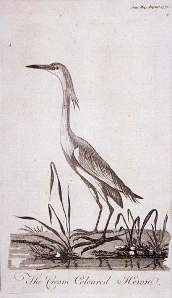 Reiger, uit 