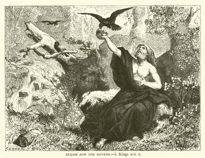 Elia en de Raven, I Koningen, xvii, 6 (gravure) door English School