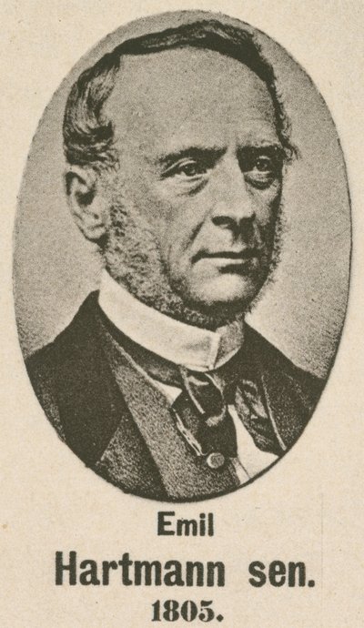 Emil Hartmann Senior door English School