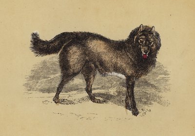 Eskimo Hond door English School