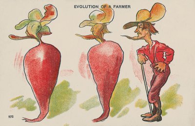 Evolutie van een boer door English School