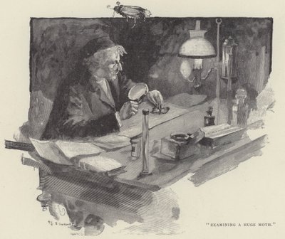 Onderzoek van een enorme mot (gravure) door English School