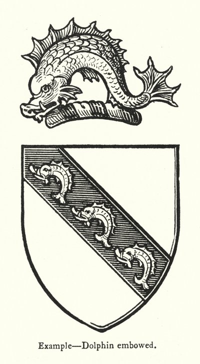 Voorbeeld, Dolfijn gebogen door English School