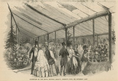 Tentoonstelling van de Koninklijke Botanische Vereniging door English School