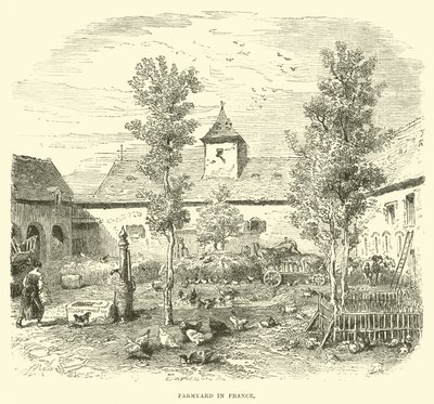 Boerenerf in Frankrijk door English School