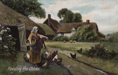De kuikens voeren (kleur litho) door English School