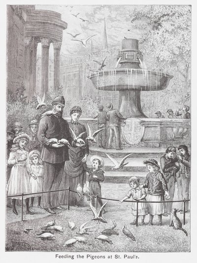 De duiven voeren in St Paul