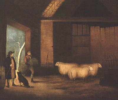 De schapen voeren door English School