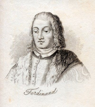 Ferdinand V, koning van Castilië, uit 