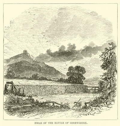 Veld van de Slag bij Shrewsbury door English School