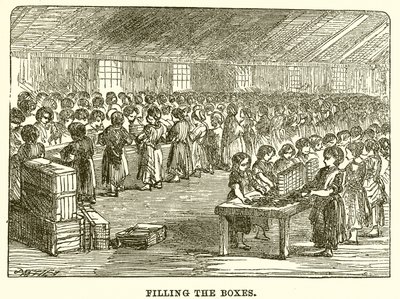 De dozen vullen door English School
