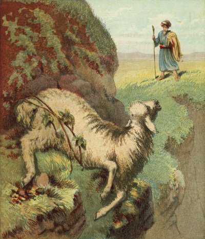 Het vinden van het schaap door English School